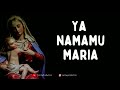 MB 547. YA NAMAMU MARIA (LIRIK)