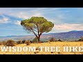 Wisdom Tree Hike | Cahuenga Peak | Los Angeles