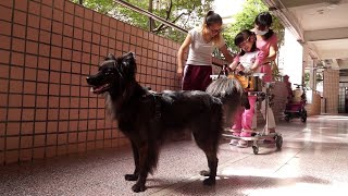 《汪了距離》玄奘大學廣電系106級畢業製作