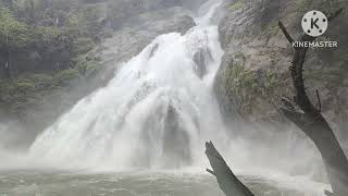 Dudhsagar waterfalls | Dudhsagar Waterfalls Trekking | Dudhsagar waterfall Goa | Waterfalls in India