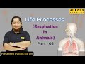 CBSE Class-X | Science Chapter-5 | LIFE PROCESSES | Respiration in Animals (Part-4) | By BRR Ma’am