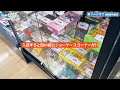 【店内撮影】激レアソフト大量！？神奈川県相模原市のハードオフでds・3dsソフト探してみた！！【レトロゲーム】