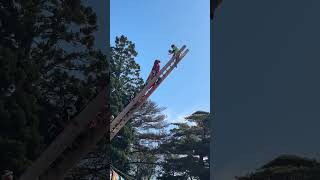 黒崎神社式年例大祭梯子虎舞3