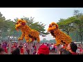 setia alam acrobatic lion dance with choy san yeh