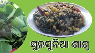 ସୁନସୁନିଆ  ଶାଗ୍ /Sunsuniaa sag odia new recipe#odiarecipe#Tikiodia kitchen