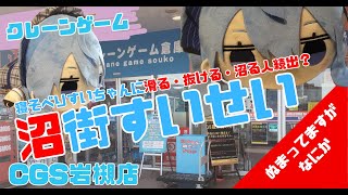 【クレーンゲーム】＜CGS岩槻＞沼り続出？攻略の糸口は顎の沈みとおでこの突きです。星街すいせい寝そべりぬいチャレンジ