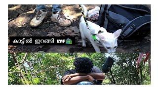 |⛰️കാട്ടിനുള്ളിൽ പൂച്ചക്കുട്ടിയും ആയി ജീവിതം🐈❤️|