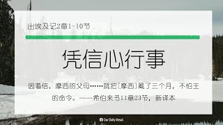 12月28日《灵命日粮》文章视频-凭信心行事