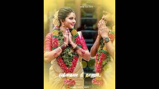 💞Saamikitta solli putten 💞 Tamil love 💞 whatapp status 📲 song 🎵|Yuvan 🎵| Hariharan &shreya Grose 🎙️|