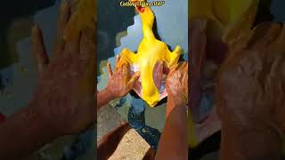 Country Chicken(Nattu Kozhi) Cutting / Village Style / Full Video Disc / CT 360*🔪