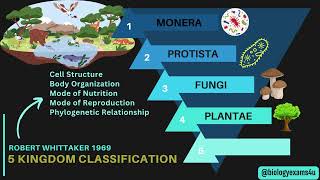 5 Kingdom Classification with Examples - Whittaker | An Overview | Biological Classification