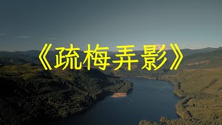 二胡曲好聽的純音樂《疏梅弄影》，沁人心脾，百聽不厭，值得收藏 | 心靈音樂 | 冥想音樂 | 舒緩助眠音樂 | 禪修音樂 | 休閒解壓