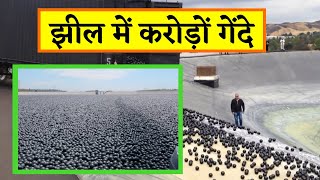 झील मे 10 करोड़ गेंदे। Why 10 Million Balls in the Pool । TheMindShow