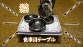 猫用テーブル作った（食事用）