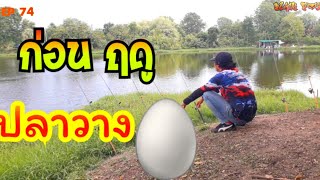 EP 74 ตกปลาหน้าดิน ก่อนฤดู ปลาวางไข่🥚กับปลาที่ไม่เคยได้ หมายธรรมชาติ HD