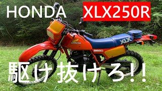 【HONDA】XlX250Rで駆け抜けろ！！