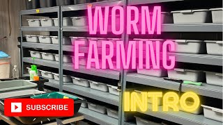 The Insight of a Worm Bin Rotation Business, Intro   TheGardenAndWormLady.com