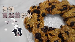 Handmade Cranberry Oatmeal Cookies【Healthy Dietitian Recipe】Sugar Free Low Calorie High Fiber