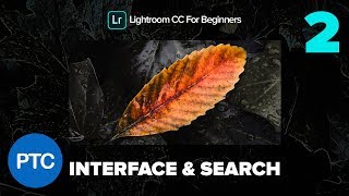 The Lightroom CC Interface and Smart Search - Lightroom CC for Beginners FREE Course - 02