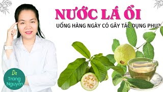 Uống nước lá ổi nhiều có gây ra tác dụng phụ hay không?