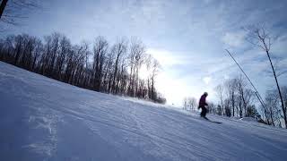 Arborescence - Condos Ski-In / Ski-Out à Bromont