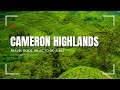 Cameron Highlands Travel Guide: What To Do & Eat!