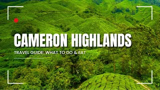 Cameron Highlands Travel Guide: What To Do & Eat!