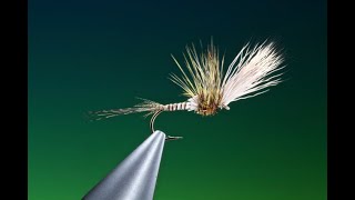 Fly Tying a Mayfly stillborn with Barry Ord Clarke