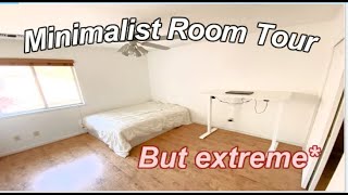 Extreme Minimalist Room Tour