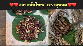 ตลาดนัดไทย - ลาวธาตุพนม|ตลาดลาว|การค้าชายแดนไทยลาว|ธาตุพนม|นครพนม (Check Point Border Trade)