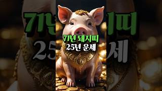 71년 돼지띠25년1월~3월 운세 #돼지띠