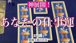 【魂占い】あなたの仕事運を占いました！