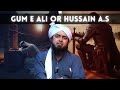 GUM E Ali or Hussain A.S | Ahl E Bait Series | Engineer Muhammad Ali Mirza