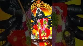 Mecheri Badrakaliamman Temple| மேச்சேரி ஸ்ரீ பத்ரகாளியம்மன்| Arulmigu Badrakaliamman| DuraiAmmu1223