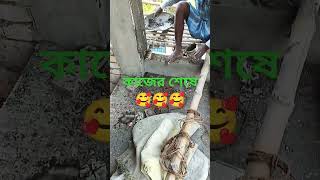 কাজের শেষে 🥰🥰🥰 #reels #ইনডিয়া #রিলস #viralvideo #রিভিউ