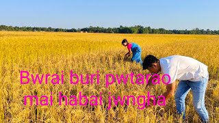 motherinlaw mai hanayao wngkam hwinayao bwrai buri dose mai hanai competition nangbai😆😆 EshaRN vlog.