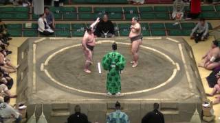 海龍-若乃島/2017.5.21(30)/kairyu-wakanoshima/day8 #sumo