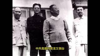 红朝史六七：中共常委陶铸从红桃四变黑桃三