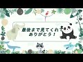 キョウコさんのようすです。【2023年3月5日】【上野動物園】マレーグマ