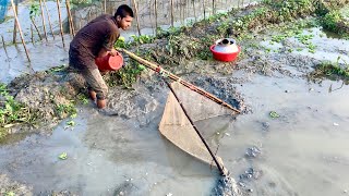 বিলে খেত সেচে আজ অনেক দেশি মাছ ধরলাম (village fish catching videos) fishing in Bengali. Fishing bd.