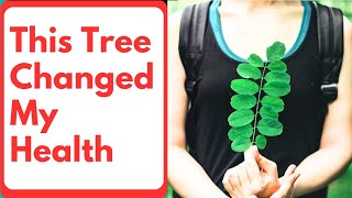 Moringa: The Miracle Tree That Transforms Health, Skin, and Soil