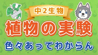 中2理科『植物の働きと実験』