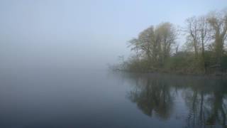 Foggy morning at Mullagh's Lake