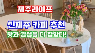 (제주살이) 제주시 신제주, 맛과 감성을 다 잡은 카페!