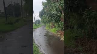 Ngeri juga #shortvideo #viralvideo #fypシ゚viral #funnyshorts #fyp