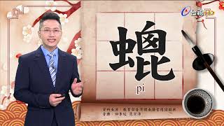 2022.4.18.台視台語新聞逐工一字「螕/蟌」（pi）