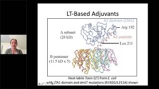 Beyond Alum and Capsular Polysaccharides