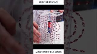 Subscribe #Physics61 Please #shorts #shortvideo #magnetic #field #experiment #trend