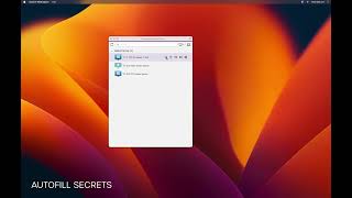 Splashtop Secure Workspace - Secret Manager in Secure Workspace Desktop