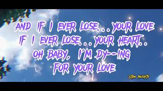 NO ARMS CAN EVER HOLD YOU - Chris Norman (Lyrics)